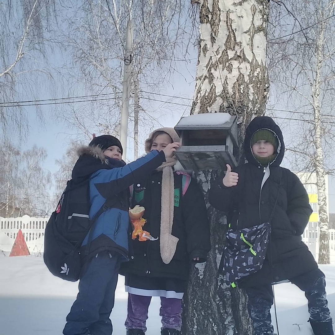 Акция «Покормите птиц зимой» .